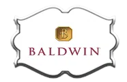 logo-image logo-image - brands-top-baldwin